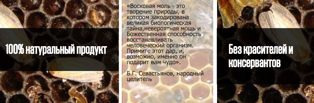 Моль огневка отзывы. Огнёвка восковая моль. Настойка личинок восковой моли огнёвки. Восковая моль огневка этикетка. Настойка восковой моли этикетка