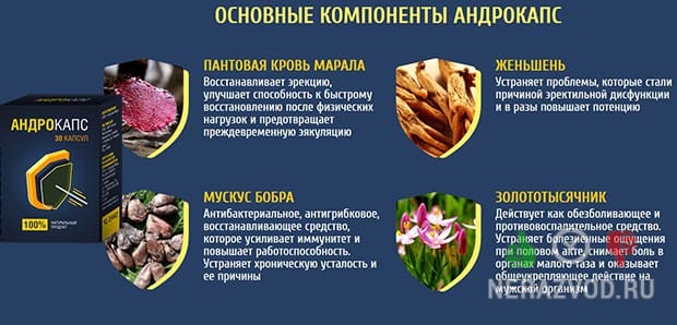 Андрокапс для восстановления мужского здоровья