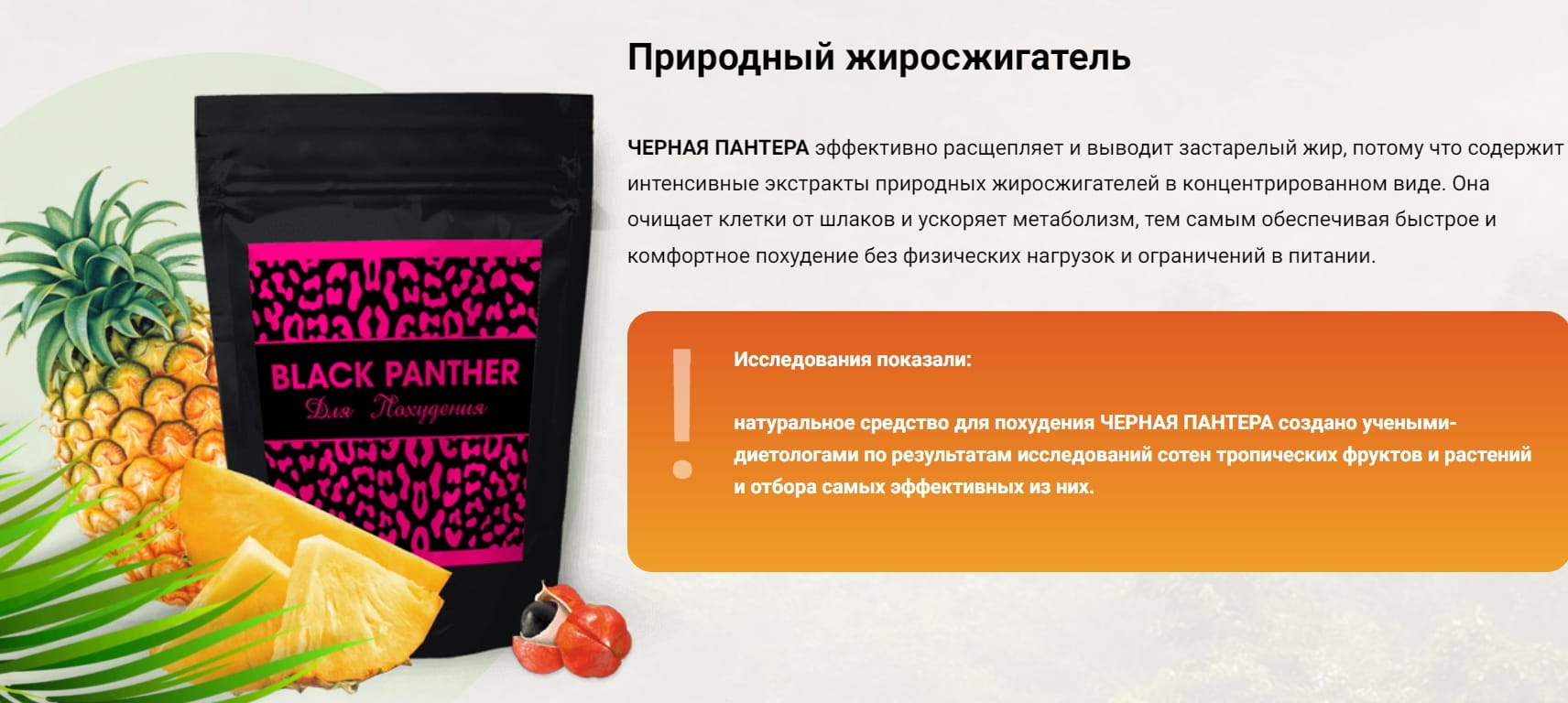 Блэк пантера капсулы для похудения. Блэк пантера капсулы. Блэк пантера таблетки для похудения. Black panther капсулы. Блэк пантера жиросжигатель.