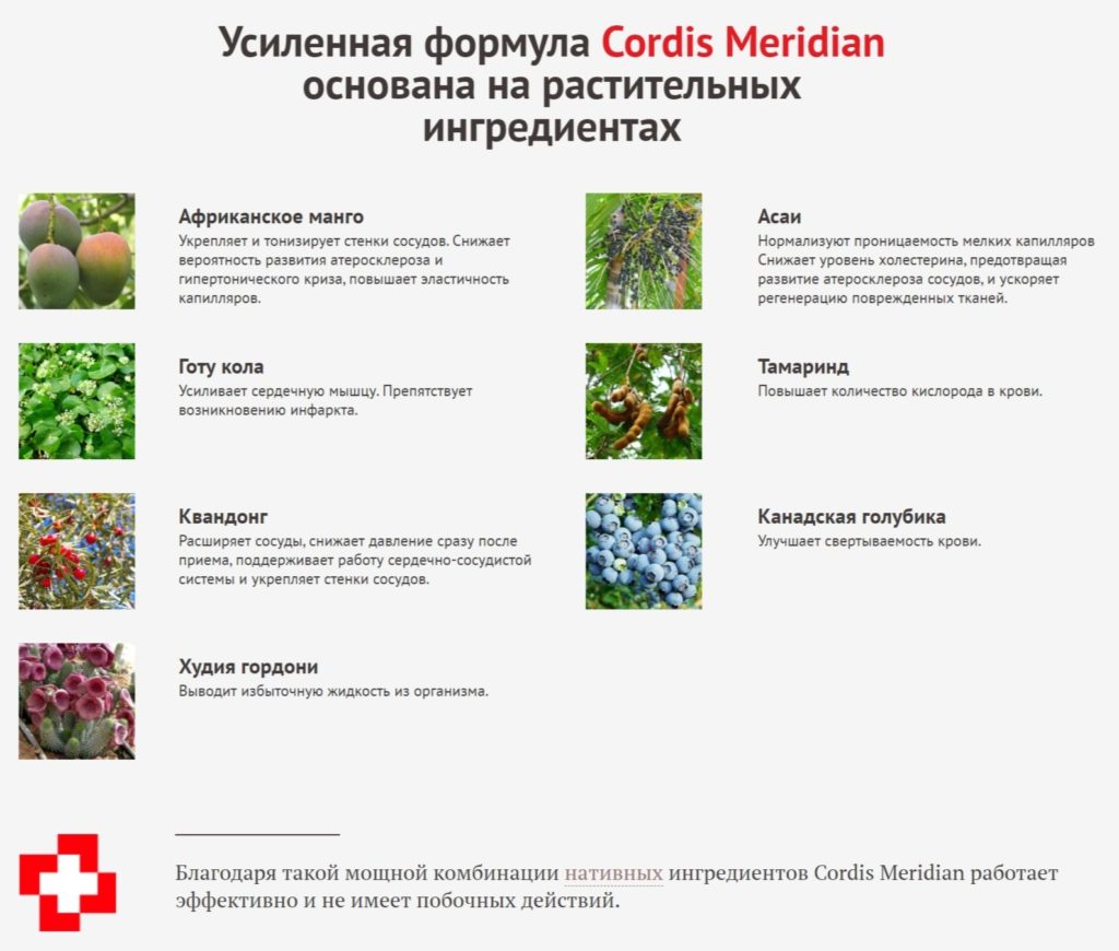 Капсулы Кордис Меридиан (Cordis Meridian) от гипертонии состав