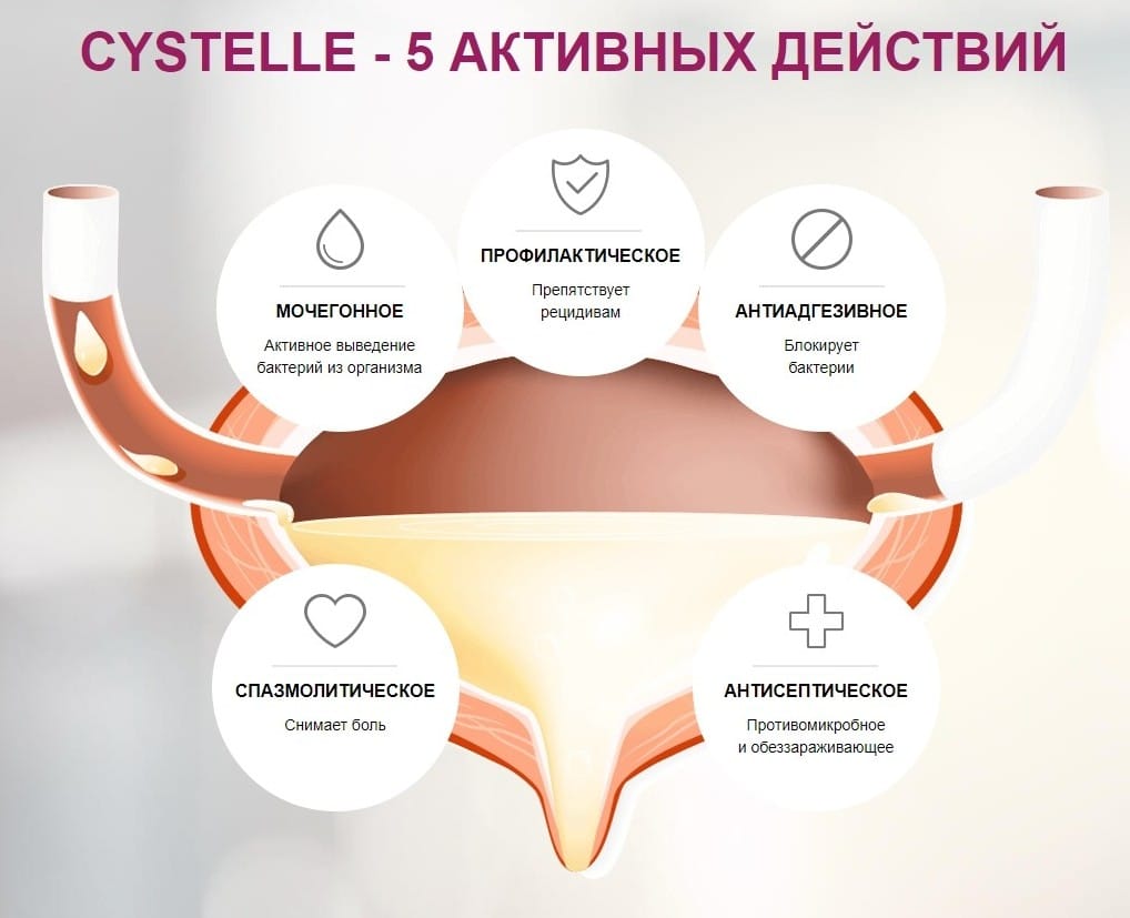 Цистэль (Cystelle) при цистите действие