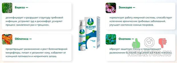 Опасность грибковой инфекции
