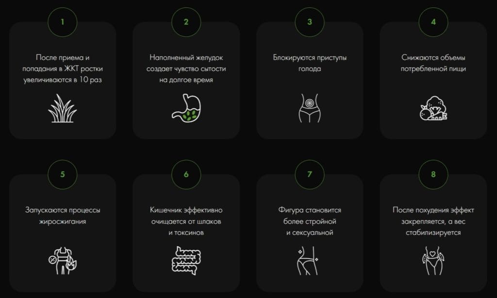 Energrass (Энерграсс) для похудения - принцип действия