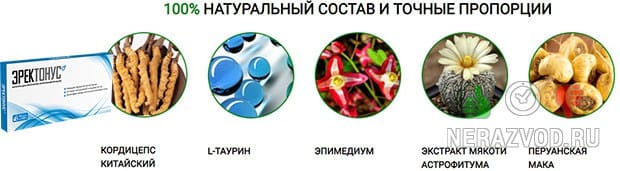состав капсул Эректонус