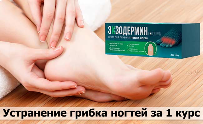 Экзодермин купить