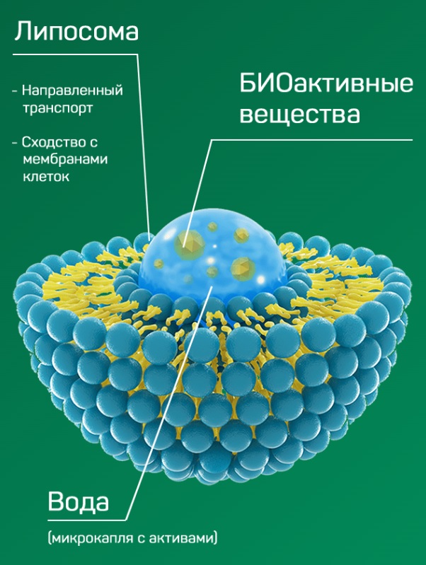 Простакор Инструкция По Применению Цена