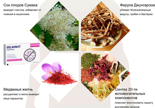 состав гельминот
