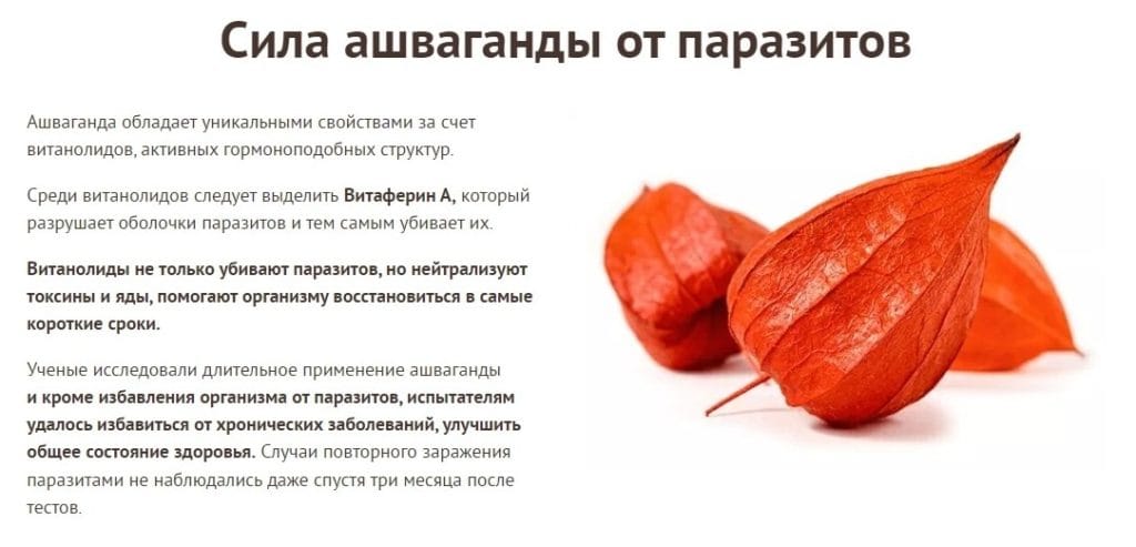 Параксан - состав препарата