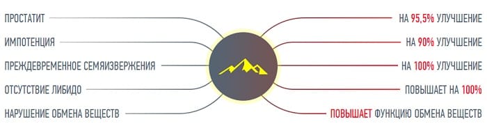 JINSHENKANG результаты