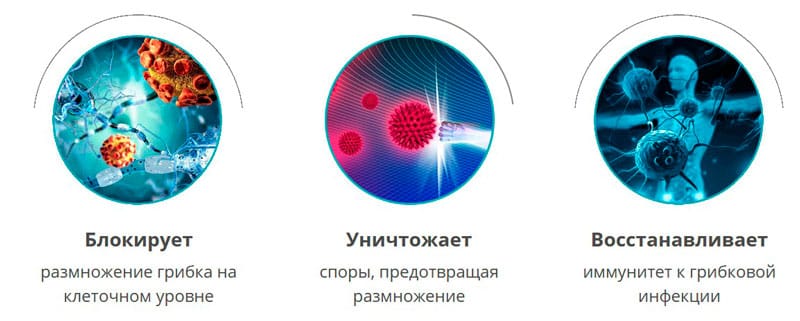 Принцип работы Нормалидона