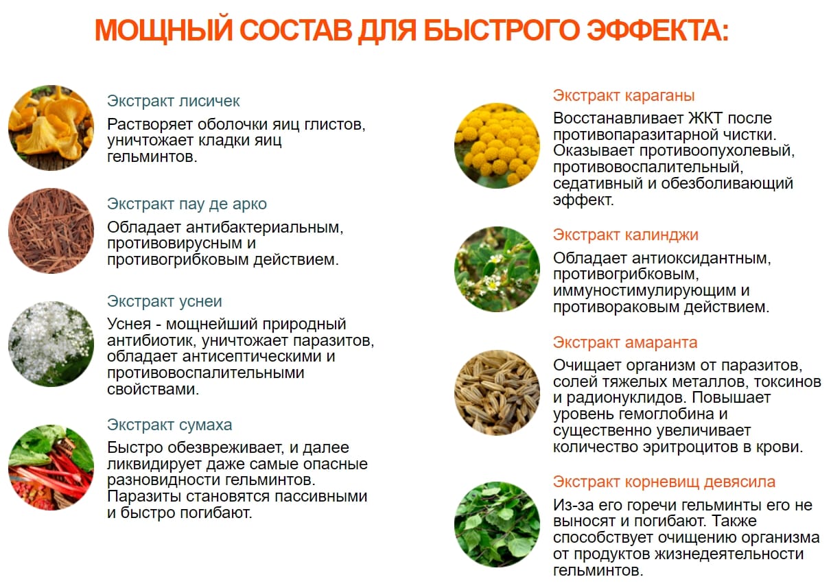 Что есть чтобы избавиться от паразитов. Что есть чтобы избавиться от паразитов