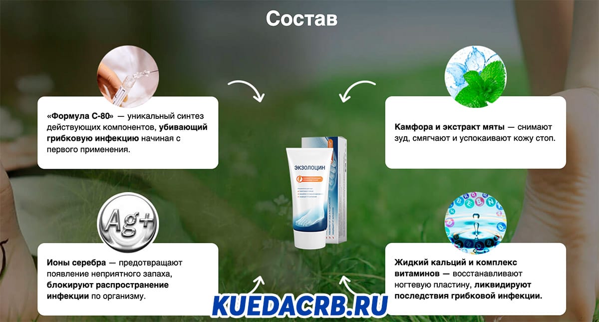 Экзолоцин состав
