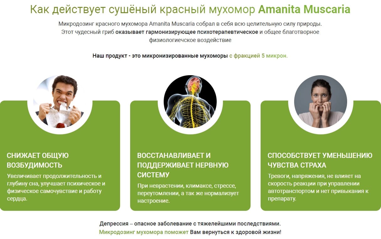 Микродозинг Мухоморов Цена Спб