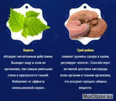 one two slim капли для похудения