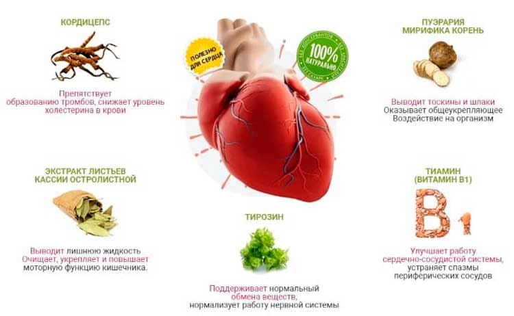 Состав средства PhytoLife