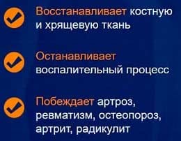 Сустав Про свойства