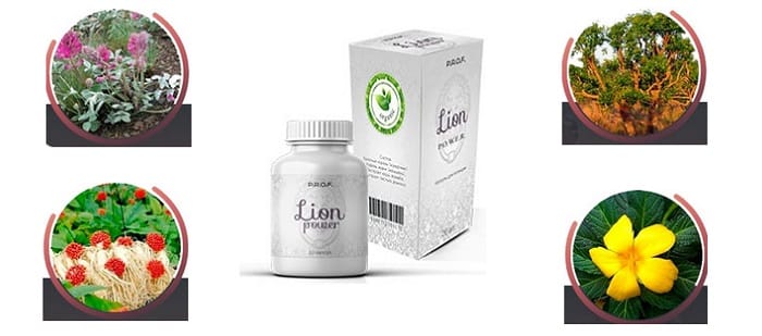 Prof Lion Power для эрекции: оптимальное решение для мужчин от 18 до 80 лет!