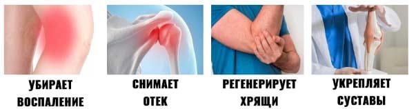 Синергель действие