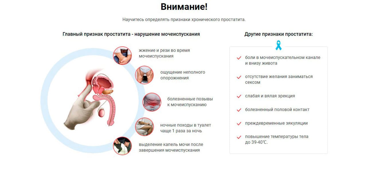 Таваник при простатите схема лечения простатита у мужчин