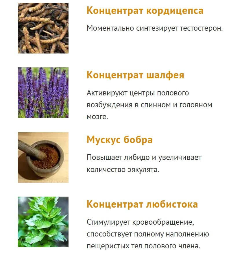 Состав капсул Вирекс